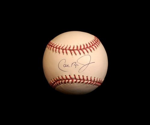 Cal Ripken Jr. Autograph OML Baseball