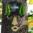 Seattle Seahawks Forest Face