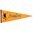 Pittsburgh Steelers Wool 32" x 13" Traditions Pennant