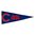 Chicago Cubs Wool 32" x 13" Traditions Pennant