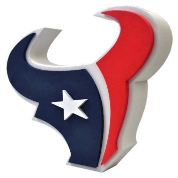 Houston Texans Fan Foam